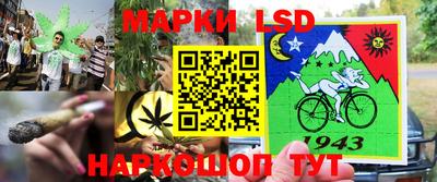 тгк Кандалакша