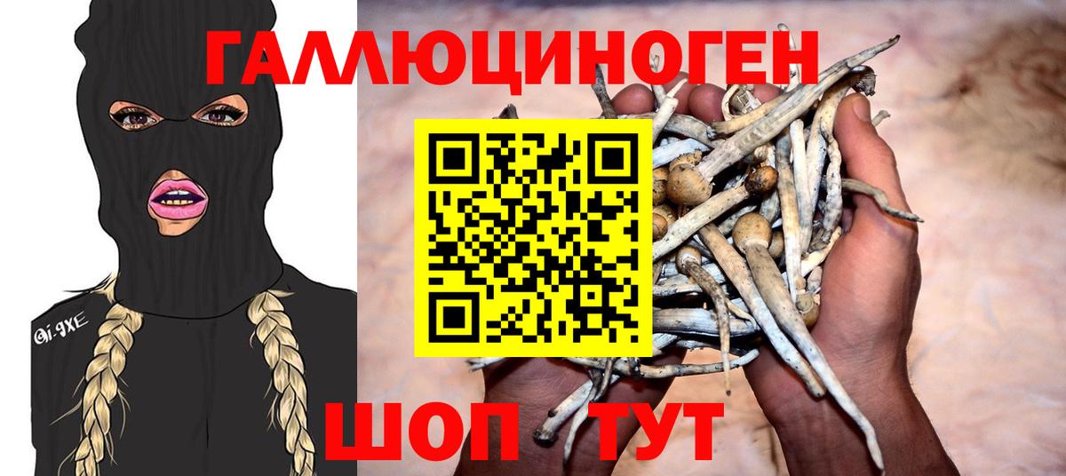 Дальнегорск  Галлюциногенные грибы ЛСД  Вход с VPN  Псилоцибиновые грибы ЛСД 